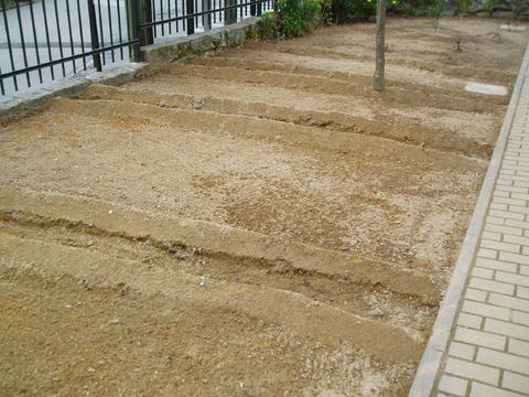 O terreno que tínhamos para a horta foi cavado pelo funcionários da Câmara Municipal de Vila Nova de Gaia.